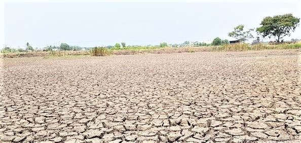 Từ tháng 5, tình trạng khô hạn, thiếu nước xảy ra ở nhiều địa phương