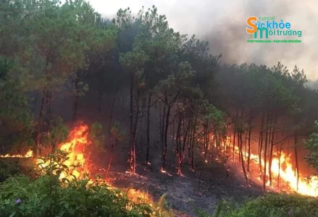 Nghệ An: Cháy rừng diện rộng tại địa bàn huyện Thanh Chương và Nam Đàn