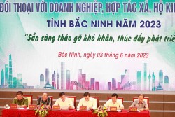 bac ninh thao go kho khan phat huy suc manh noi sinh cua doanh nghiep htx ho kinh doanh