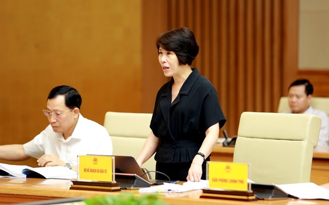 Thứ trưởng Bộ KH&ĐT Nguyễn Thị Bích Ngọc phát biểu tại phiên họp - Ảnh: VGP/Minh Khôi