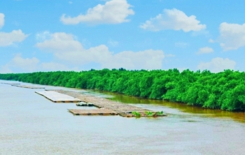 Bộ TNMT yêu cầu Thái Bình làm rõ việc định “xóa sổ” Khu Bảo tồn thiên nhiên Tiền Hải