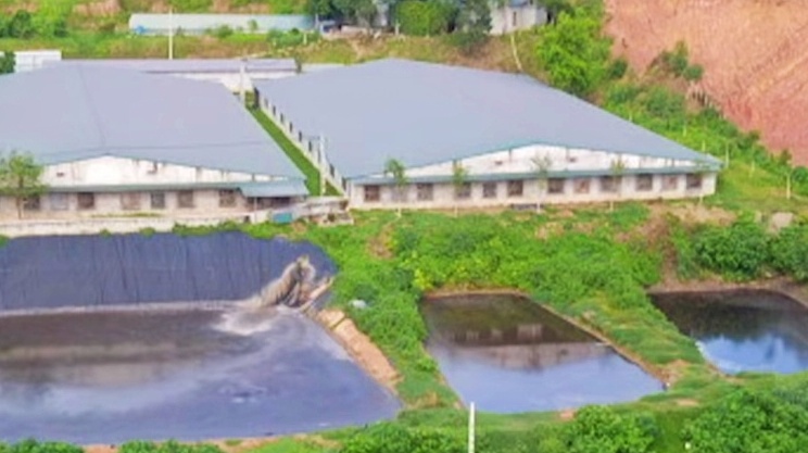 Bảo vệ môi trường là trách nhiệm của mọi cá nhân, tổ chức và toàn Xã Hội
