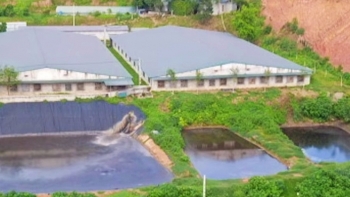 Bảo vệ môi trường là trách nhiệm của mọi cá nhân, tổ chức và toàn Xã Hội