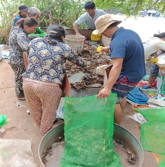 An Giang: Khi lũ về, con nước tràn đồng, phù sa cùng các nguồn thủy sản, cũng theo con nước về hạ nguồn
