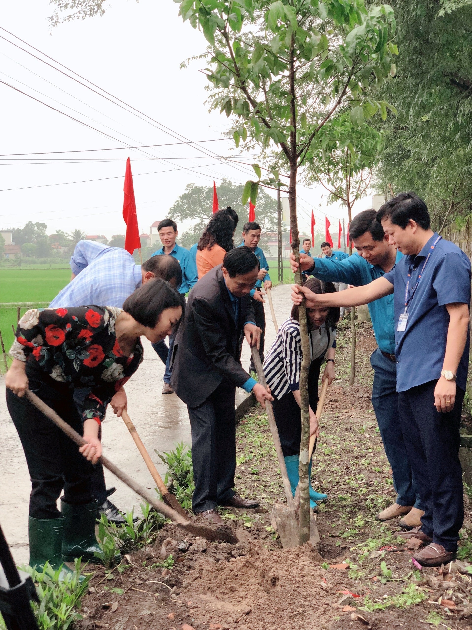 Phối hợp với LĐLĐ tổ chức trồng cây xanh bảo vệ môi trường