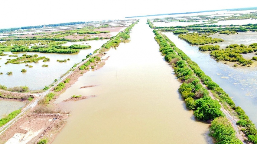 Thái Bình thông tin về Khu bảo tồn thiên nhiên đất ngập nước Tiền Hải