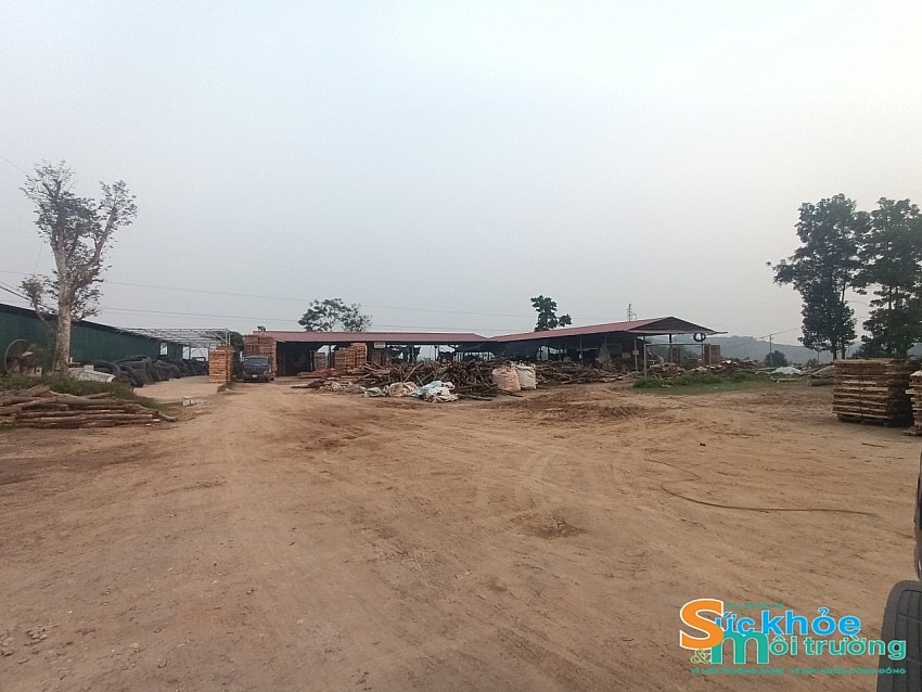 Yên Bái: UBND huyện Yên Bình chỉ đạo xử lý sai phạm đất đai giáo trái phép cho HTX Nông Lâm nghiệp Bình Minh sau phản ánh