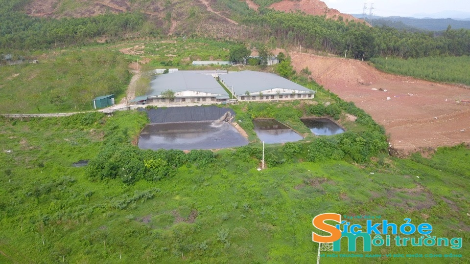 UBND huyện Bình Xuyên (Vĩnh Phúc) thông tin vụ việc gây ô nhiễm môi trường của trang trại lợn xây dựng trái phép trên đất rừng