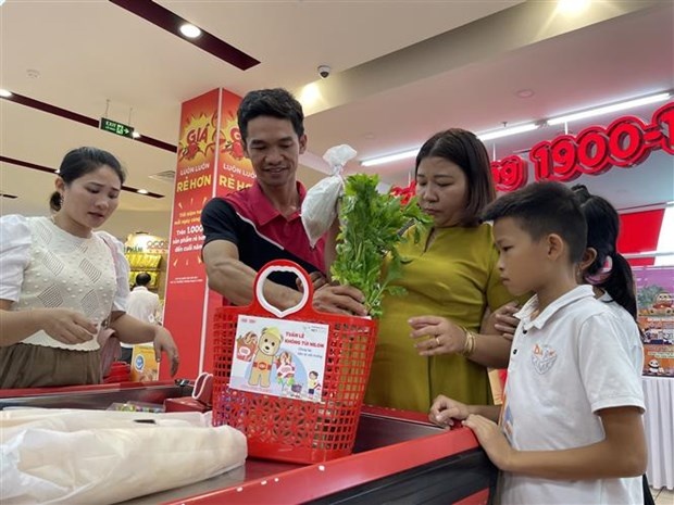 Hưởng ứng Tuần lễ không túi nylon, khách hàng thành phố Huế sử dụng làn đi chợ thay cho túi nylon khi đi mua sắm. (Ảnh: Mai Trang/TTXVN)