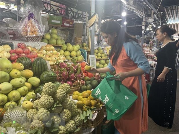 Khách hàng sử dụng túi thân thiện môi trường khi đi mua sắm tại chợ Đông Ba (thành phố Huế). (Ảnh: Mai Trang/TTXVN)