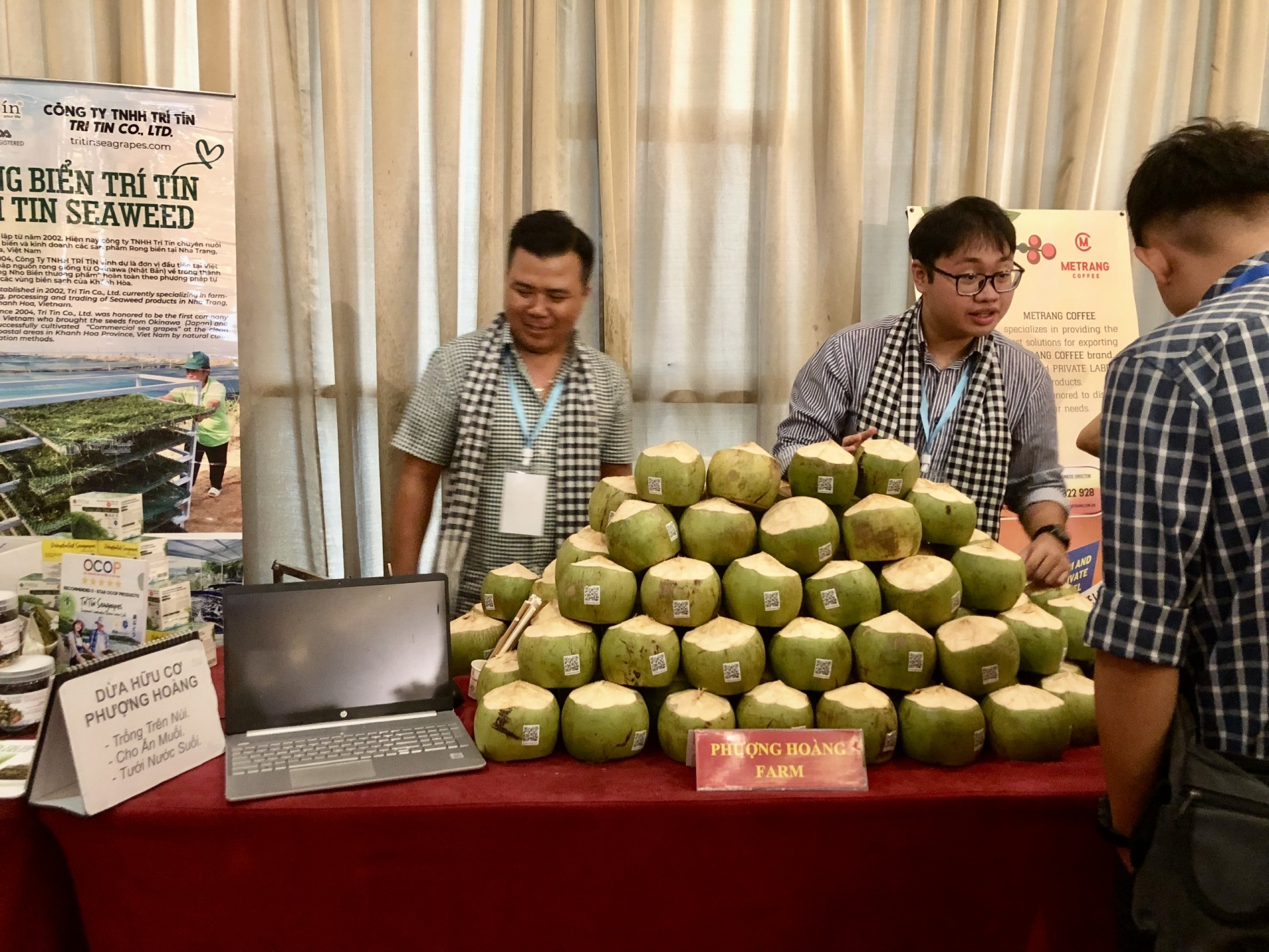 Dừa hữu cơ Phượng Hoàng (trồng trên núi, cho ăn muối và tưới nước) phục vụ đại biểu tại Hội nghị. Dừa hữu cơ Phượng Hoàng (trồng trên núi, cho ăn muối và tưới nước) phục vụ đại biểu tại Hội nghị.