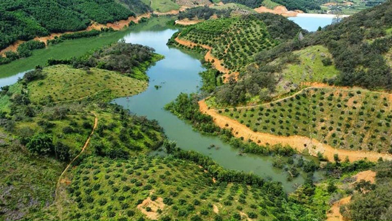 Các đảo trên hồ Đạ Sỵ, một điểm đến du lịch nhiều hứa hẹn trong tương lai tại huyện Cát Tiên Các đảo trên hồ Đạ Sỵ, một điểm đến du lịch nhiều hứa hẹn trong tương lai tại huyện Cát Tiên