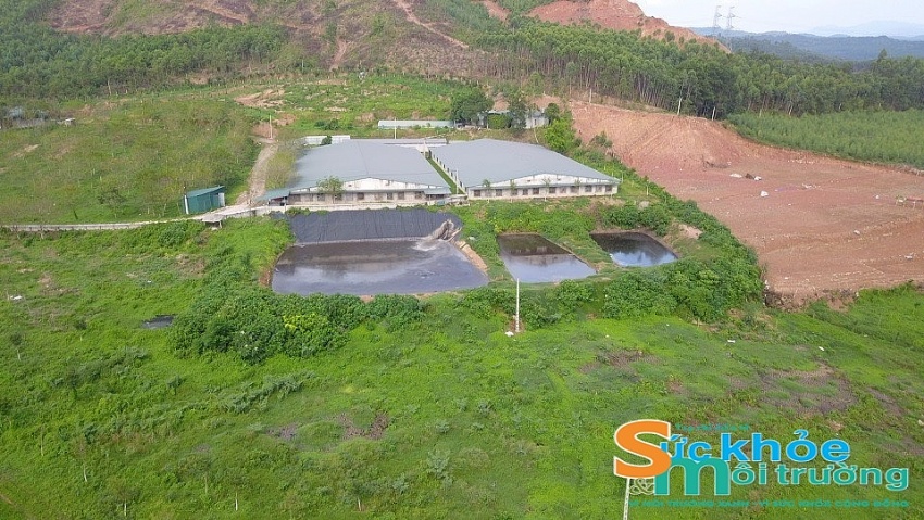 rang trại Chăn nuôi lợn Thọ Hà ở xã Trung Mỹ, huyện Bình Xuyên xây dựng trên đất rừng và hoạt động chăn nuôi lợn xả chất thải không qua xử lý, gây ô nhiễm môi trường.