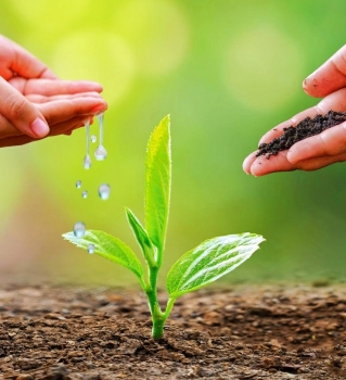 Tăng cường Bảo vệ môi trường đất trước nguy cơ ô nhiễm
