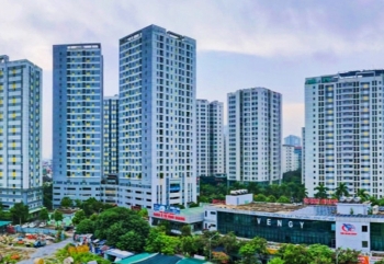 hoang maiha noi se su dung 7 o dat trong de xay dung truong hoc
