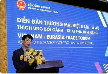 doanh nghiep viet nam day manh khai thac thi truong a au giau tiem nang