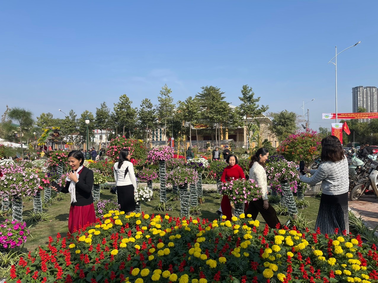 Xuân Quan: Rực rỡ sắc hoa Xuân Quan: Rực rỡ sắc hoa