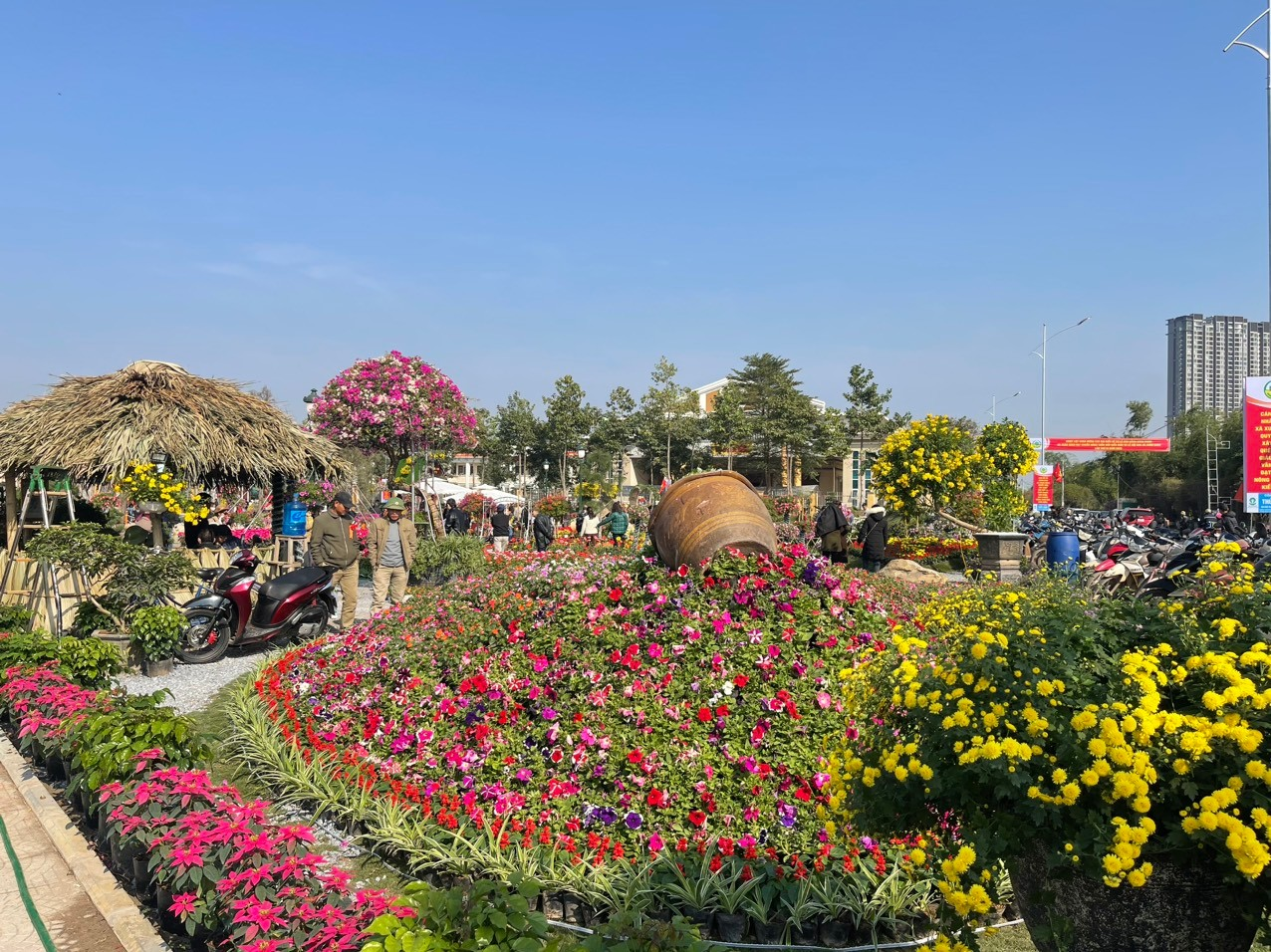 Xuân Quan: Rực rỡ sắc hoa Xuân Quan: Rực rỡ sắc hoa