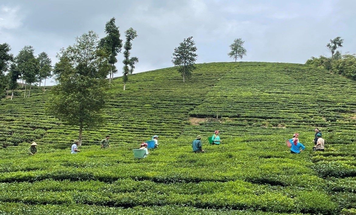 Huyện Mường Khương (tỉnh Lào Cai): Doanh nghiệp tích cực xây dựng nông thôn mới