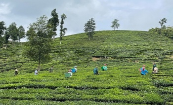 huyen muong khuong tinh lao cai doanh nghiep tich cuc xay dung nong thon moi