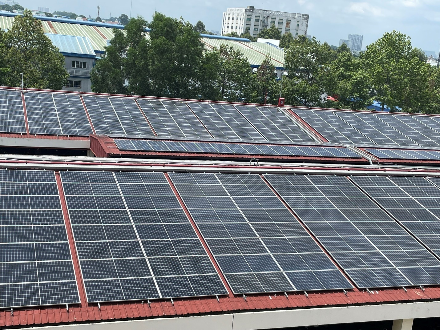 Những thành tựu của sự phát triển năng lượng tái tạo được cho là điểm tích cực trong việc chống biến đổi khí hậu