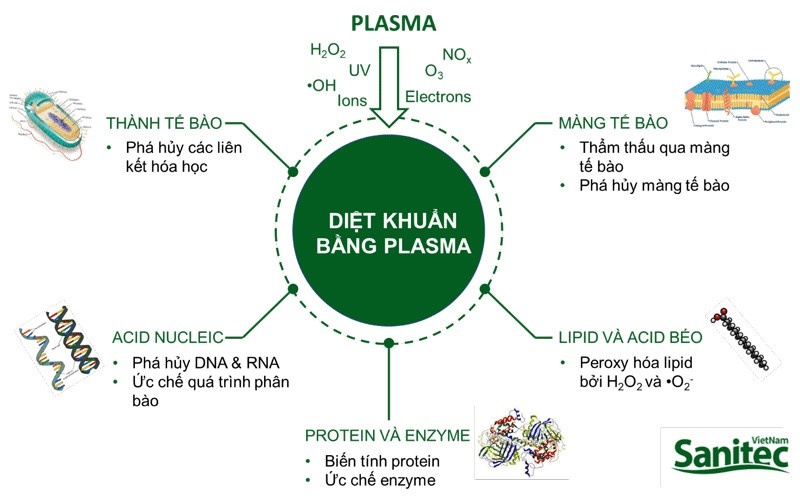 Công Nghệ Tinh Lọc Không Khí Plasma Ion Trong Máy Lọc Không Khí Saniair V1 Công Nghệ Tinh Lọc Không Khí Plasma Ion Trong Máy Lọc Không Khí Saniair V1