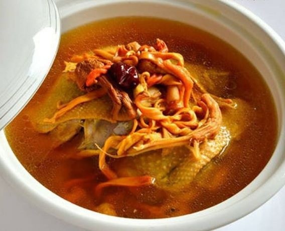 Thịt gà nấu đông trùng hạ thảo dùng tốt trong những ngày thời tiết ẩm thấp. Thịt gà nấu đông trùng hạ thảo dùng tốt trong những ngày thời tiết ẩm thấp.