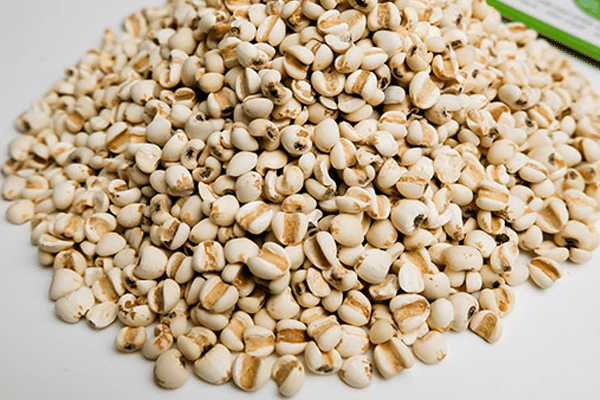 Ý dĩ kết hợp với bí xanh phòng tránh cơ thể suy yếu trong tiết trời nồm ẩm. Ý dĩ kết hợp với bí xanh phòng tránh cơ thể suy yếu trong tiết trời nồm ẩm.