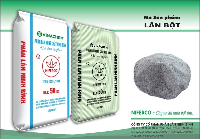 Sản phẩm lân bột NIFERCO - Cây no đủ mùa bội thu Sản phẩm lân bột NIFERCO - Cây no đủ mùa bội thu