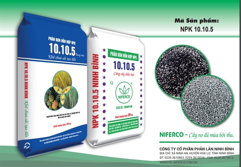 Sản phẩm NPK 10.10.5 - NIFERCO - Cây no đủ mùa bội thu Sản phẩm NPK 10.10.5 - NIFERCO - Cây no đủ mùa bội thu