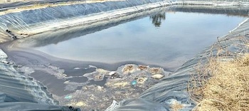 trai heo 3000 con o xa ea bhok gay o nhiem moi truong xac heo khong duoc xu ly