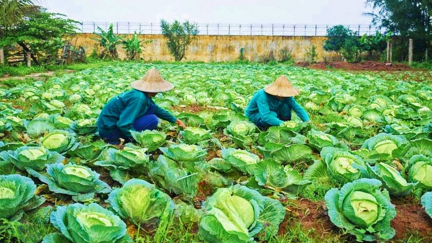Tết ở Cơ sở cai nghiện ma túy công lập Thái Bình