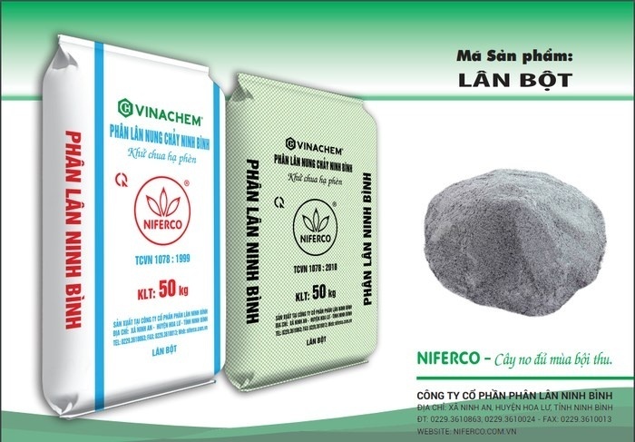 Sản phẩm lân bột NIFERCO - Cây no đủ mùa bội thu Sản phẩm lân bột NIFERCO - Cây no đủ mùa bội thu
