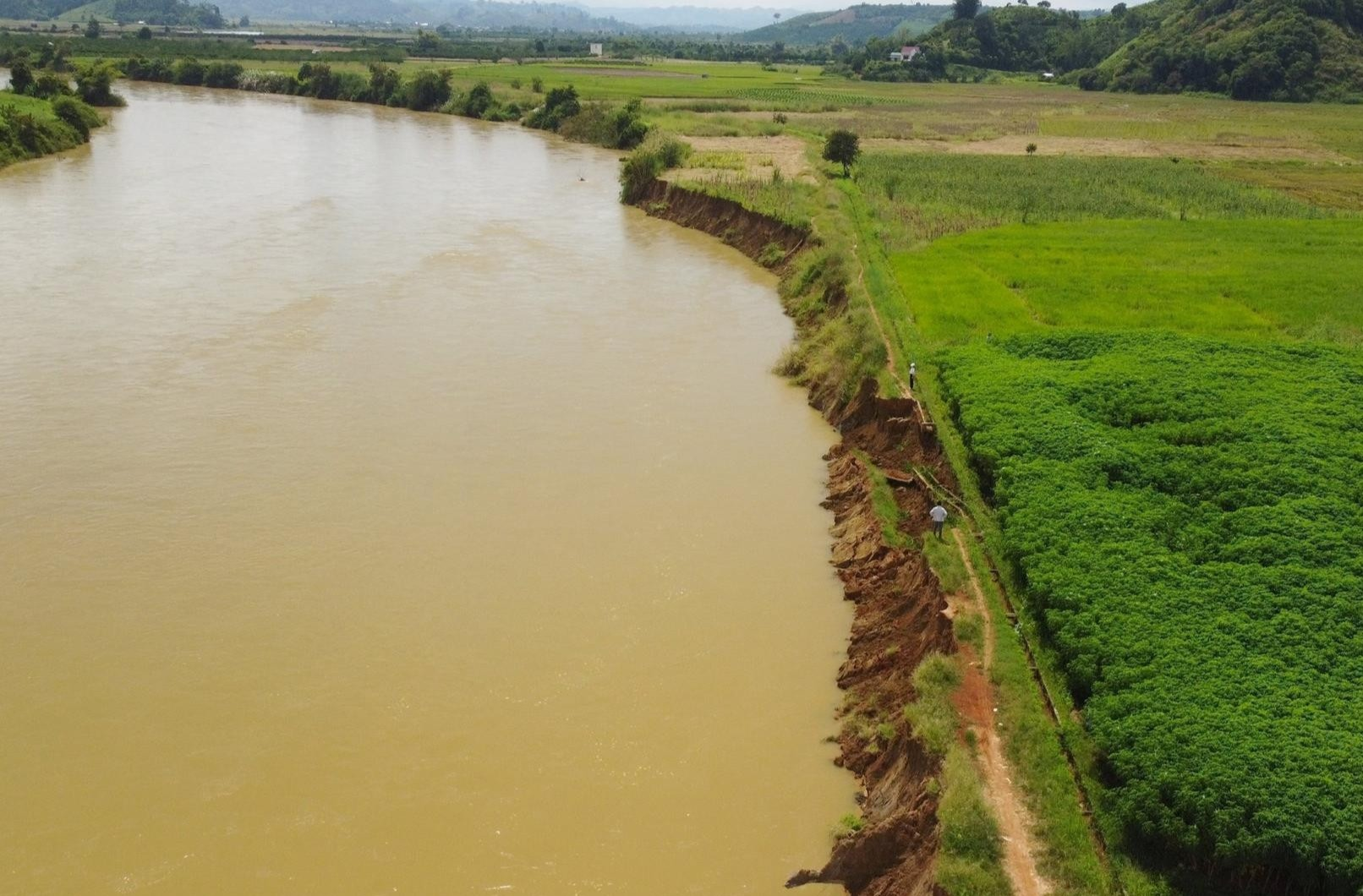 tinh dak nong kien nghi bo tnmt dieu tra nguyen nhan gay sat lo gan 10km bo song krong no