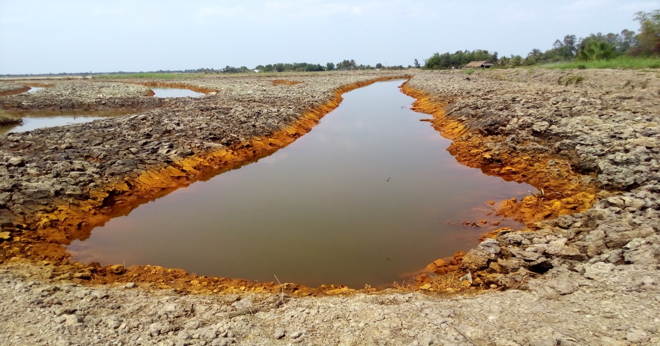 Thủ tướng Phạm Minh Chính chỉ đạo khẩn trương ứng phó với tình hình xâm nhập mặn tại Đồng bằng sông Cửu Long
