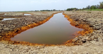 thu tuong pham minh chinh chi dao khan truong ung pho voi tinh hinh xam nhap man tai dong bang song cuu long