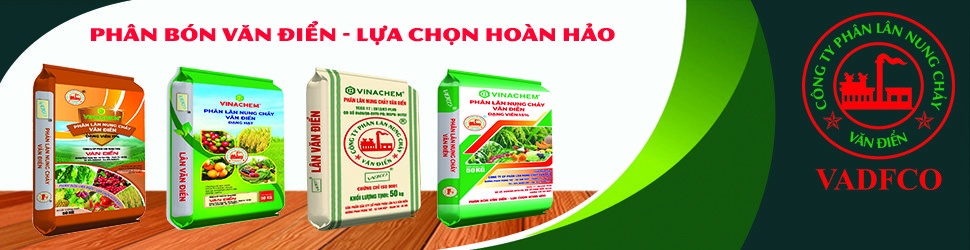 Công ty Cổ phần Phân lân nung chảy Văn Điển hơn 60 năm đồng hành cùng nền nông nghiệp trong và ngoài nước