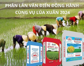 cong ty co phan phan lan nung chay van dien hon 60 nam dong hanh cung nen nong nghiep trong va ngoai nuoc