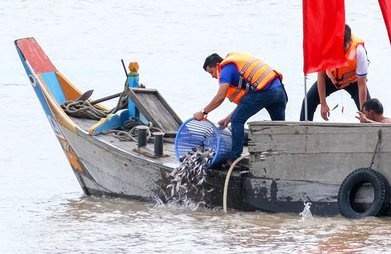 Cần Thơ: Nỗ lực tái tạo nguồn lợi thủy sản bảo vệ môi trường Cần Thơ: Nỗ lực tái tạo nguồn lợi thủy sản bảo vệ môi trường