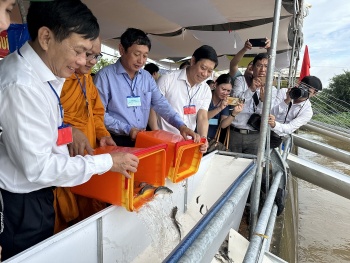 can tho no luc tai tao nguon loi thuy san bao ve moi truong