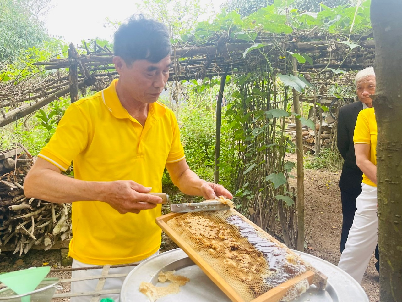 Mô hình nuôi ong từ nguồn vay tăng thu nhập của CLB LTHTGN