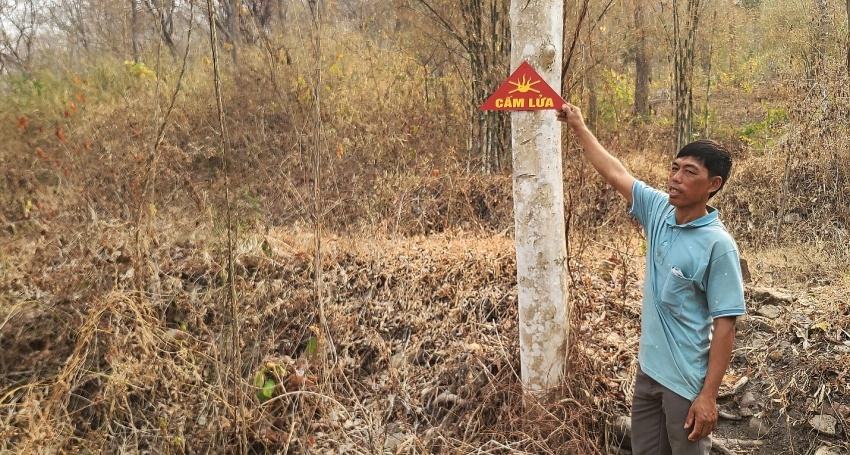 An Giang: Nỗ lực phòng chống cháy rừng