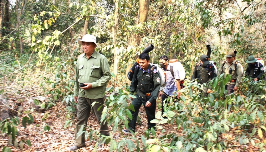 An Giang: Nỗ lực phòng chống cháy rừng