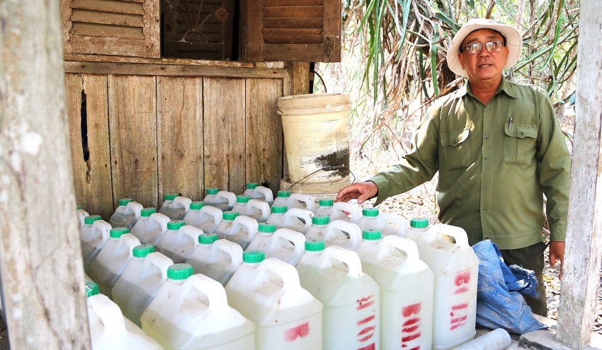 An Giang: Nỗ lực phòng chống cháy rừng