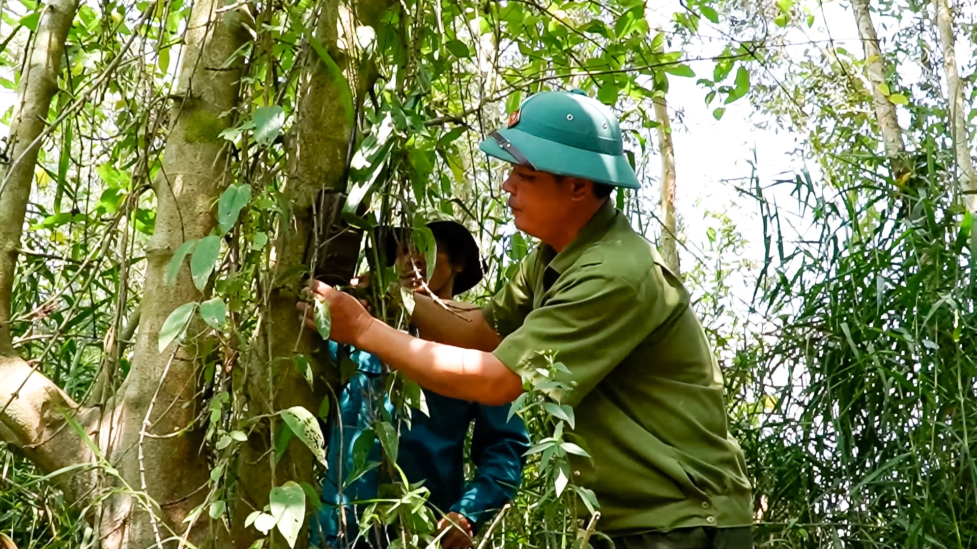 Hiệu quả Camera giám sát phòng chống cháy rừng