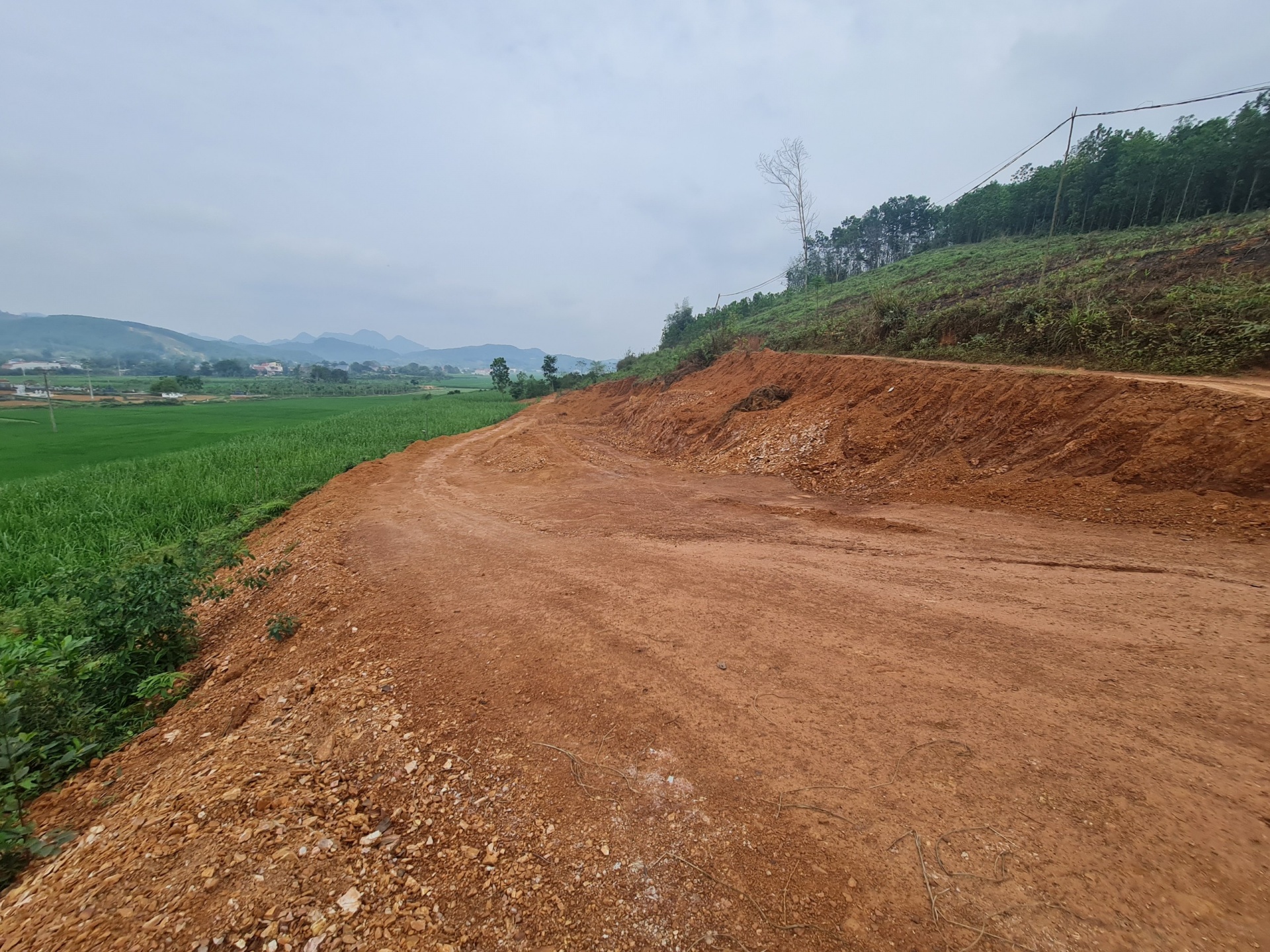 Khu đất rừng sản xuất, nơi ông Nguyễn Quốc Lập khai thác khoáng sản trái phép tại xã Thành Tân, huyện Thạch Thành