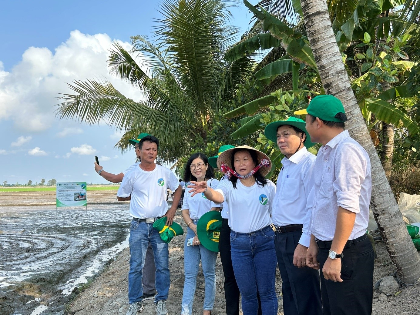 Cần Thơ khởi động cánh đồng 1 triệu hecta lúa chất lượng cao phát thải thấp