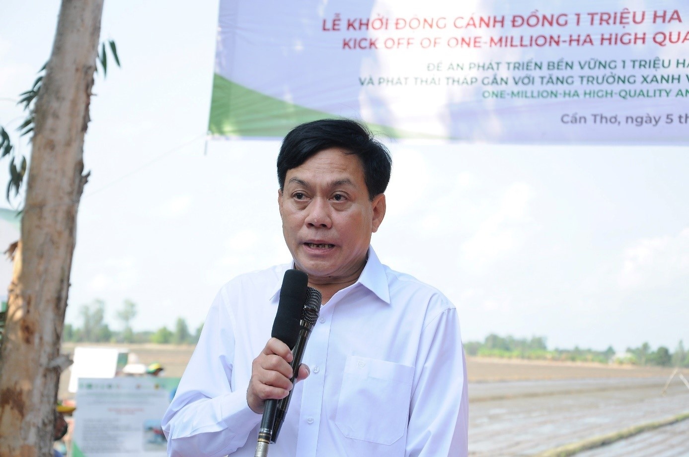 Cần Thơ khởi động cánh đồng 1 triệu hecta lúa chất lượng cao phát thải thấp