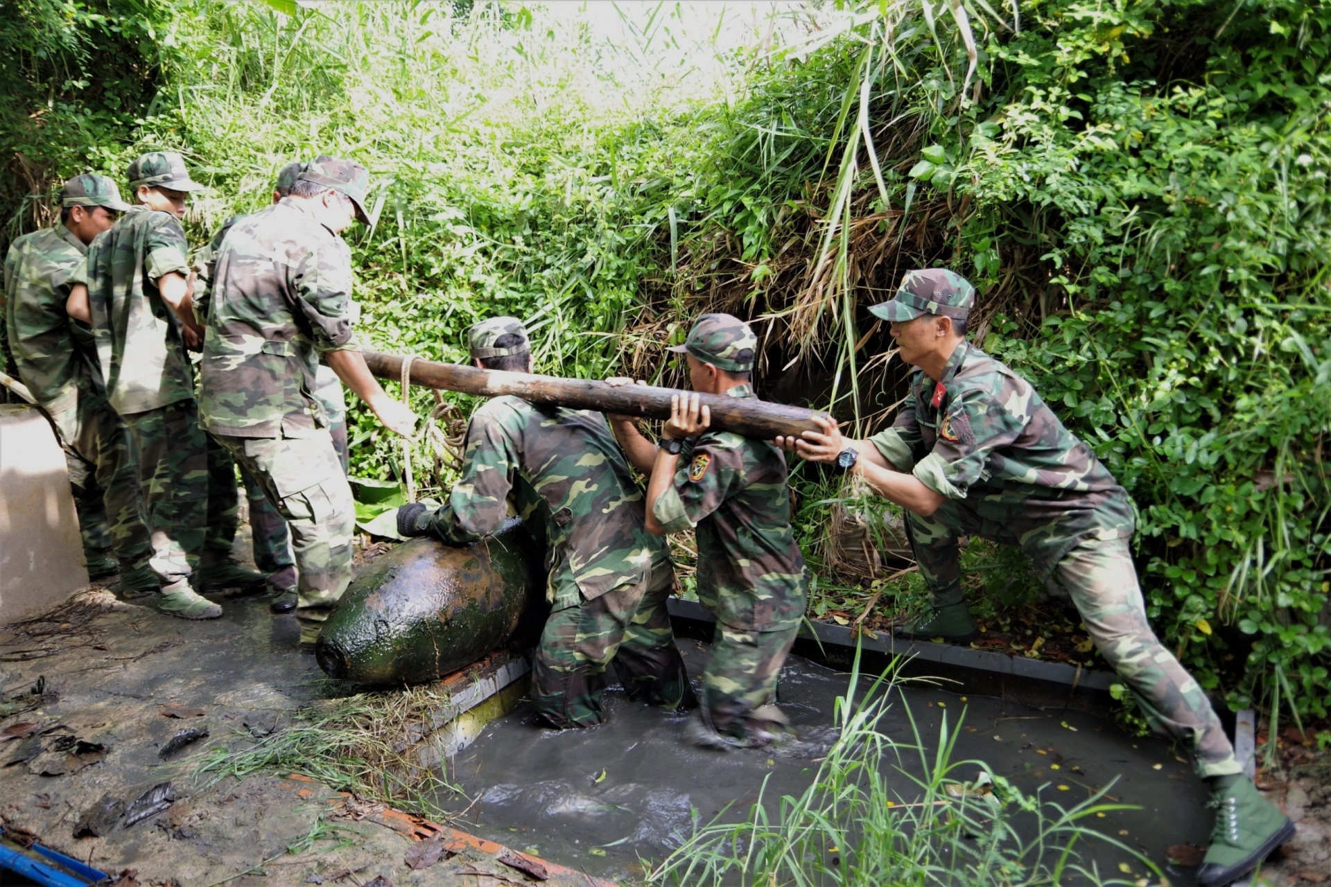 Những người trả lại màu xanh cho đất vùng châu thổ Cửu Long