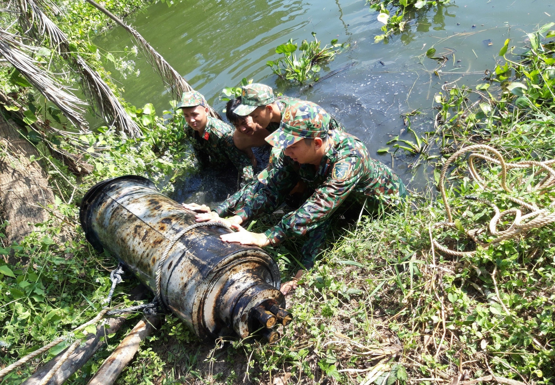 Những người trả lại màu xanh cho đất vùng châu thổ Cửu Long
